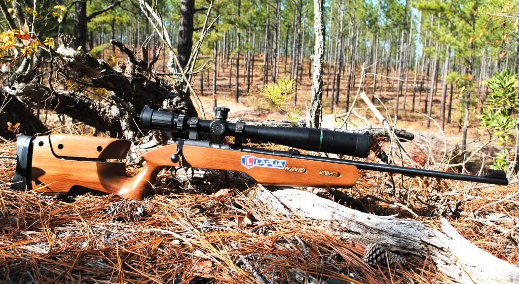 Autumn cz setting Rimfire Central Firearm Forum